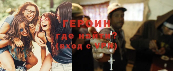 прущие грибы Гатчина