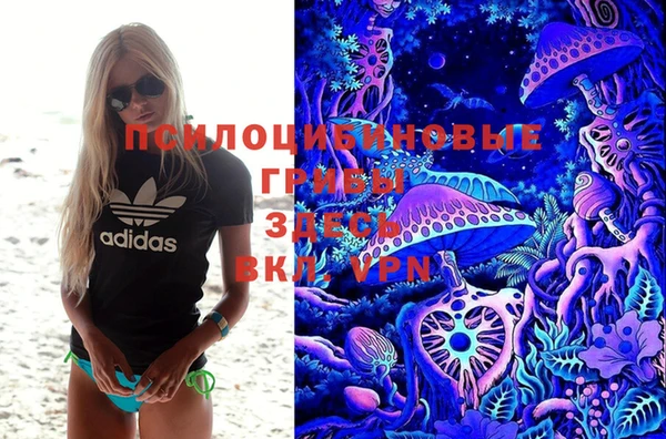 a pvp Ростов