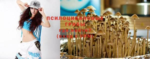 a pvp Ростов