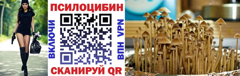Псилоцибиновые грибы Magic Shrooms  мега зеркало  сайты даркнета телеграм  хочу наркоту  Асино 