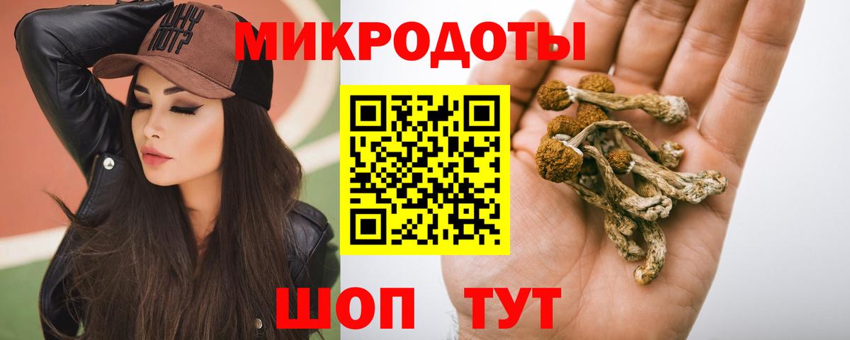 Галлюциногенные грибы Psilocybe  Асино  Псилоцибиновые грибы GOLDEN TEACHER 