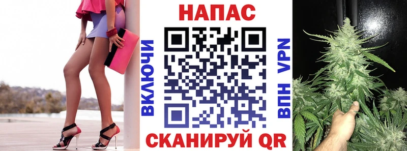 darknet наркотические препараты  наркота  Асино  Шишки марихуана гибрид 